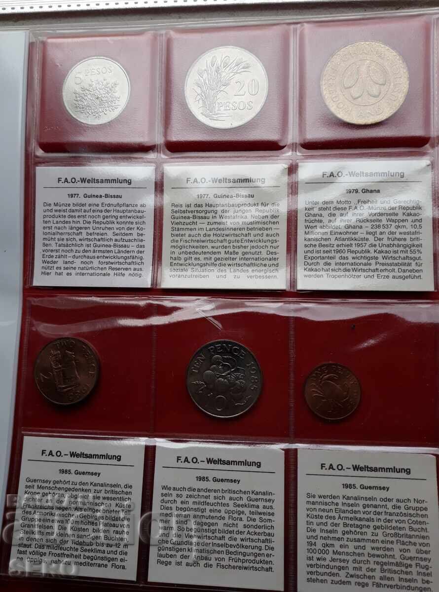 Φ.Α.Ο.-Λοτ 6 νομίσματα Φ.Α.Ο.-Λοτ 6 νομίσματα