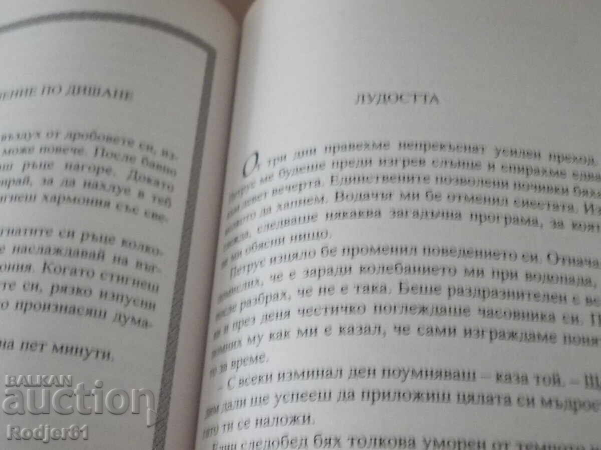Δημοπρασία knigi - Paulu Koelyu DNEVNIKŬT NA EDIN MAG