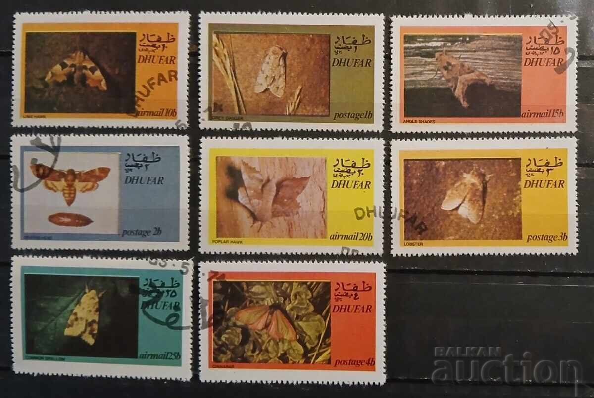 Оман/Дофар Фауна/Пеперуди