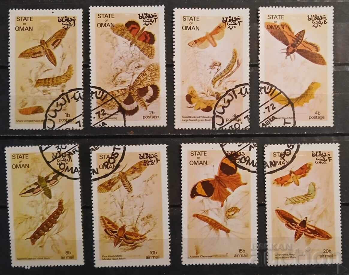 Oman Fauna/Butterflies