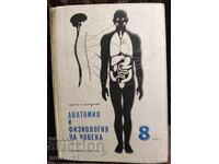Vechi manual. Anatomia și fiziologia omului 1965