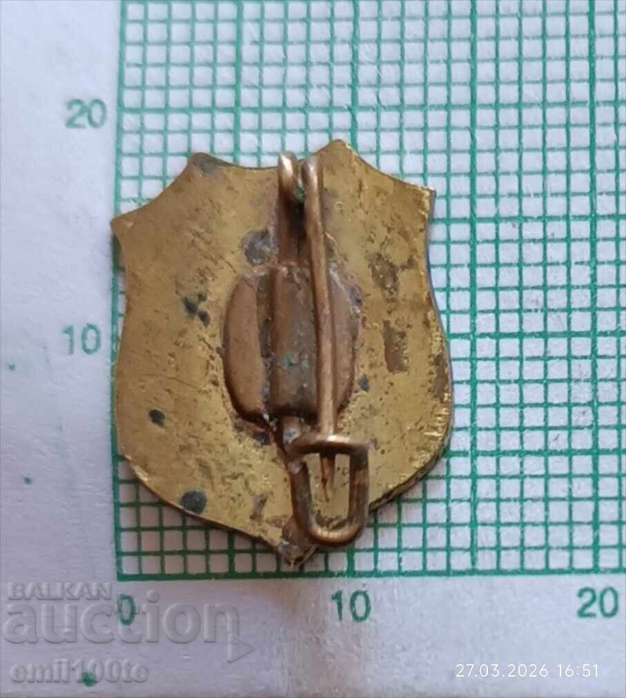 Insignă - Club de Fotbal Deportivo Tenerife Spania - 6