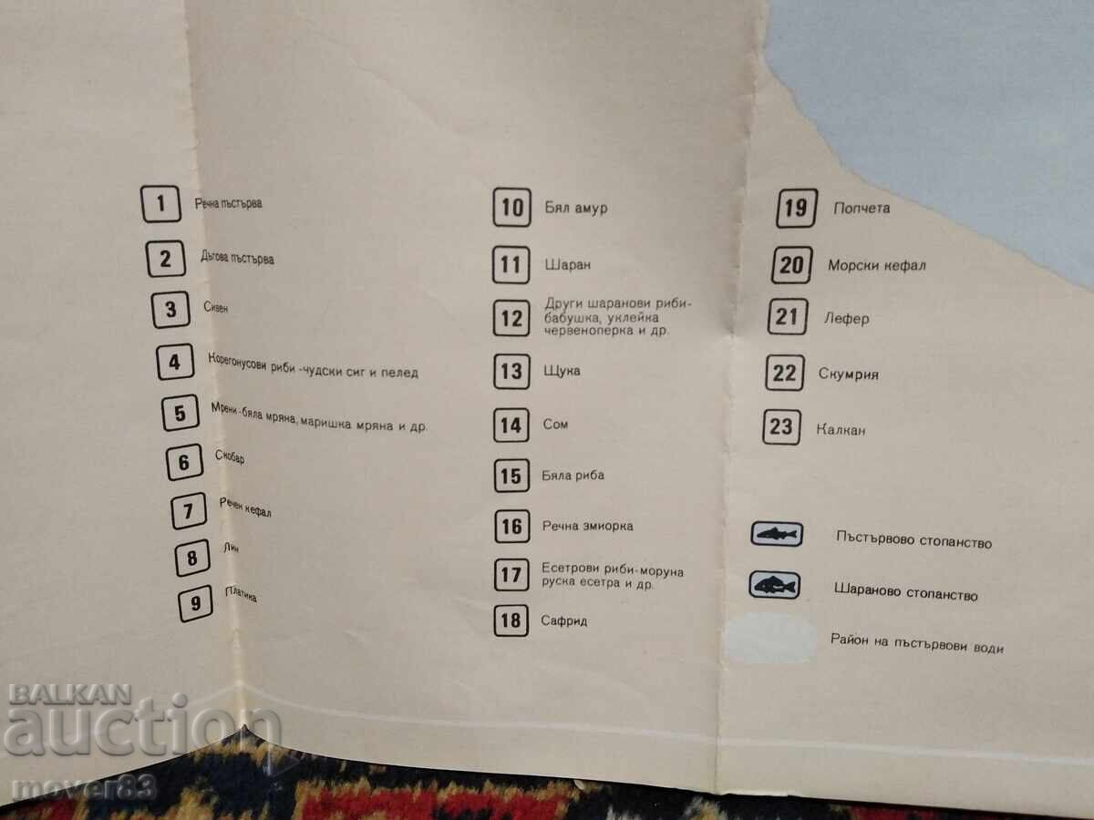 Доставка на Стара карта. Рибите в България. 1980 година