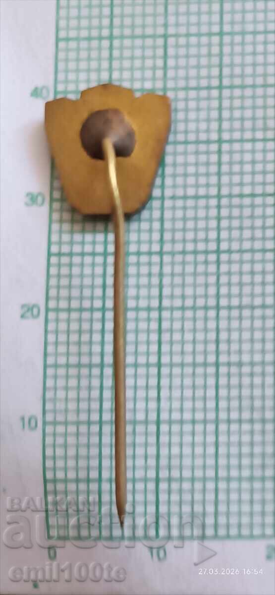 Доставка на Значка- Футболен клуб Берое Стара Загора