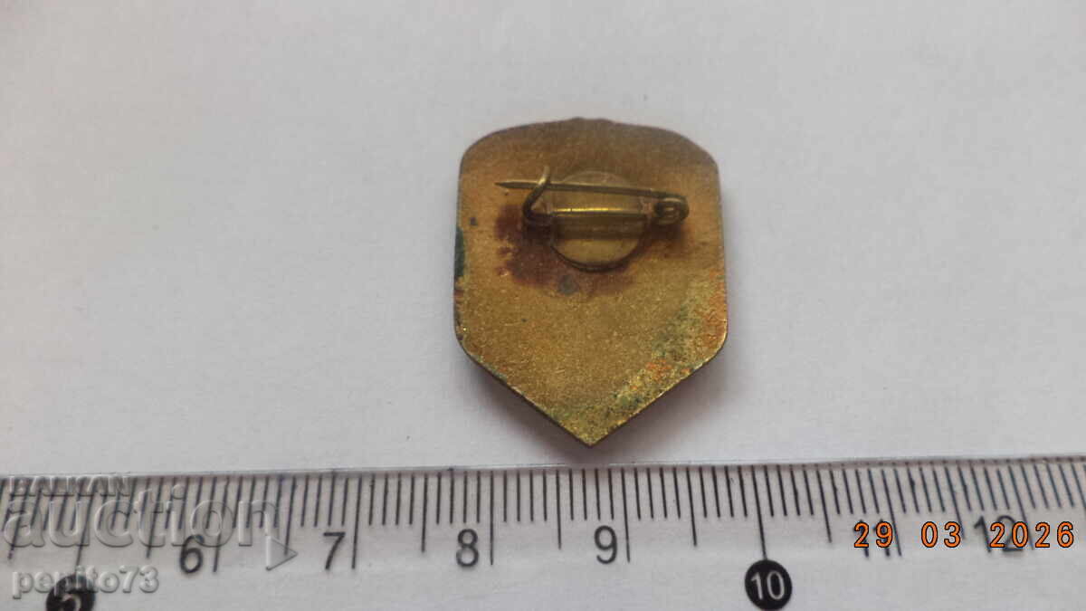 Licitație Insigna BZNS