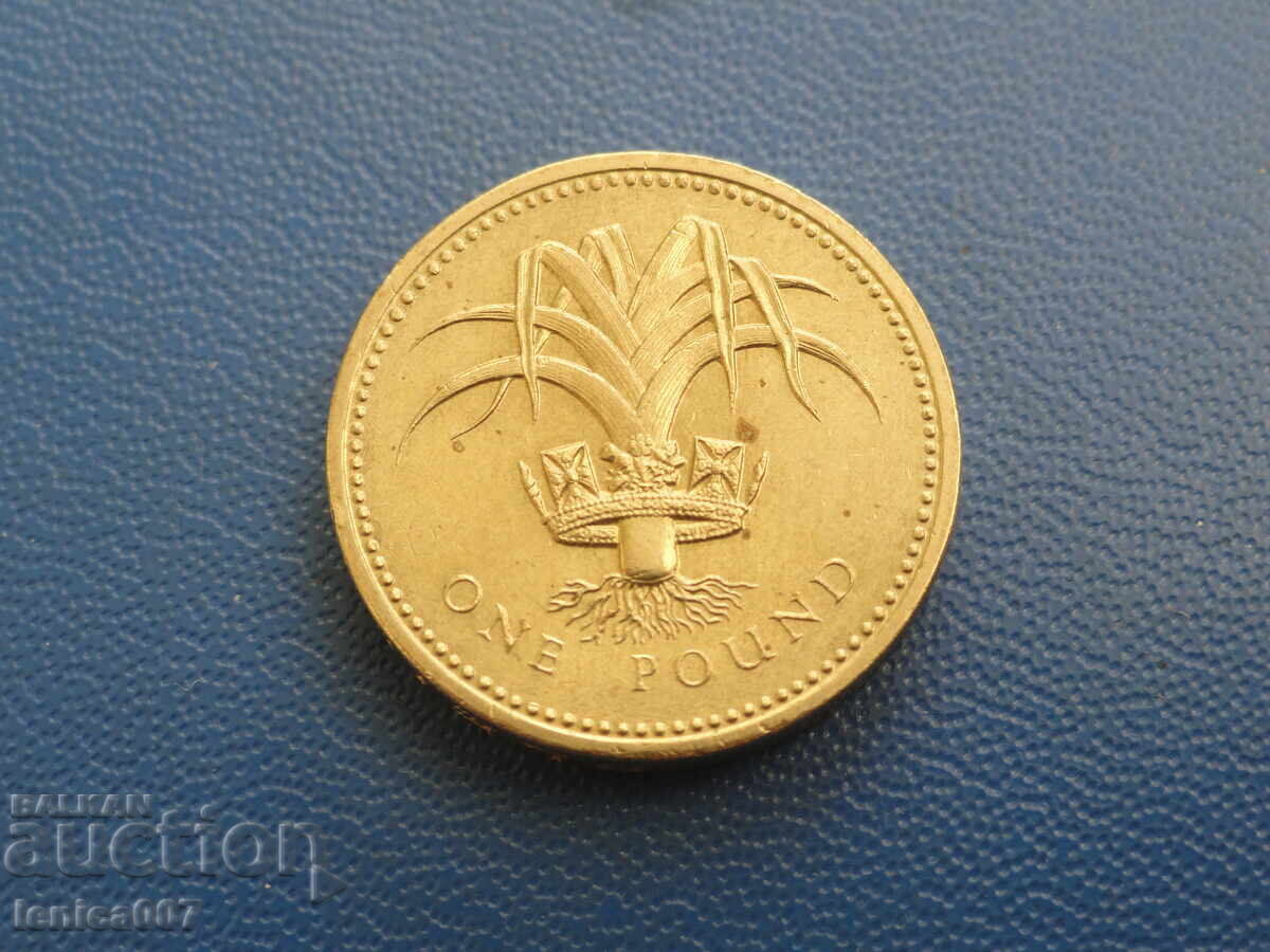 United Kingdom 1990 - 1 Pound - 6