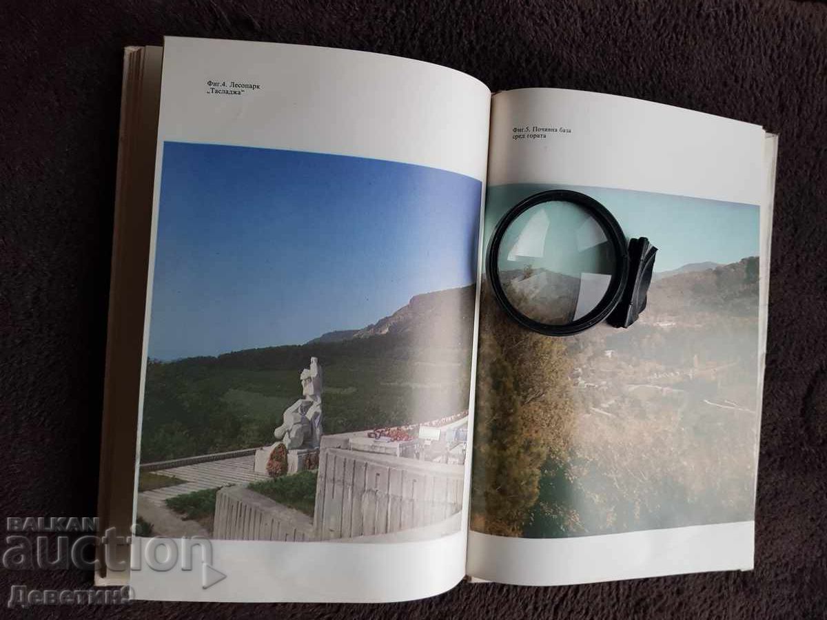 Pădure în regiunile Veliko Târnovo și Gabrovo - 1986 - 5