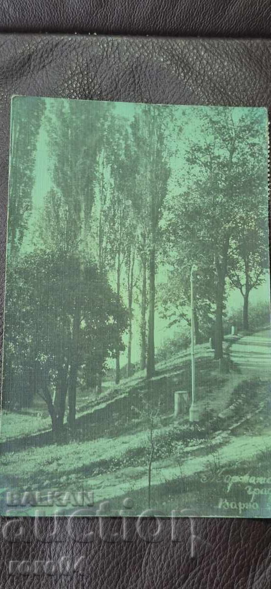 VARNA cu preț € 11.99 | 23.45 BGN