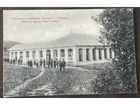 5743 Βασίλειο Βουλγαρίας Υποδηματοποιία Bison Gabrovo περίπου