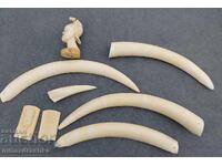 8 kilograme de fildeș