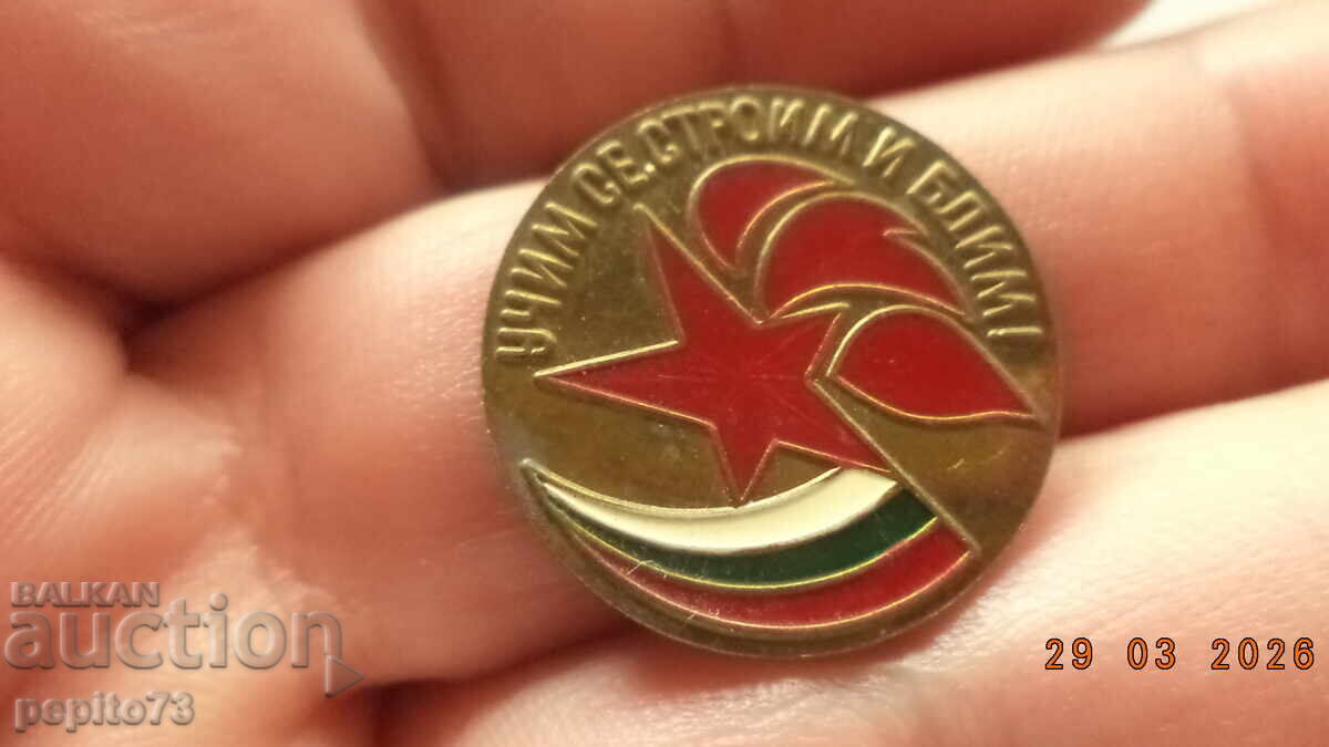 Badge Learn Build and Shine Badge Learn Build and Shine