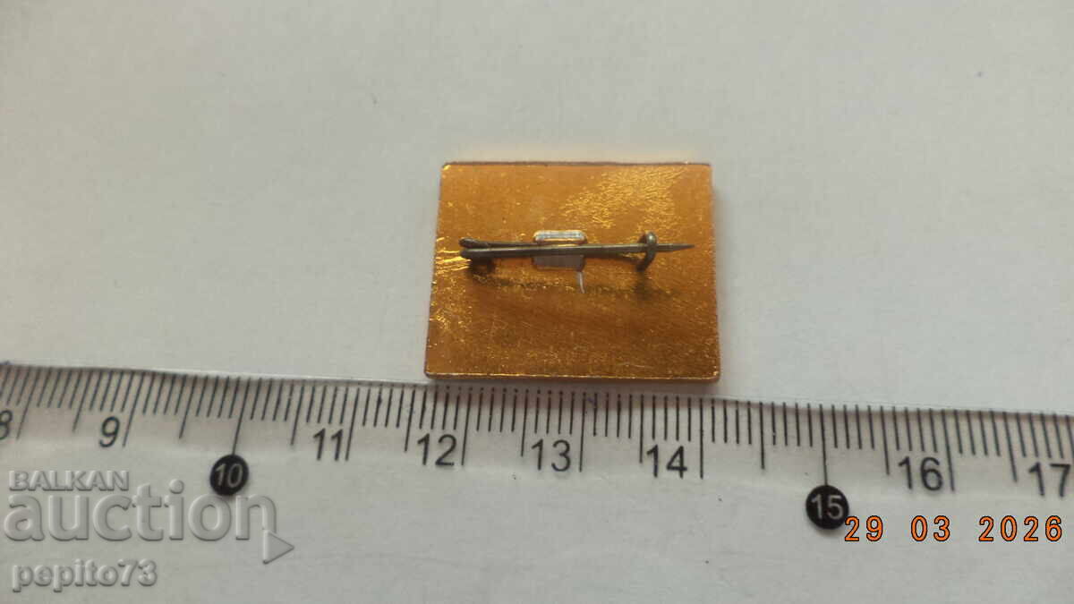 Auction Yastrebets Peak Badge Auction Yastrebets Peak Badge