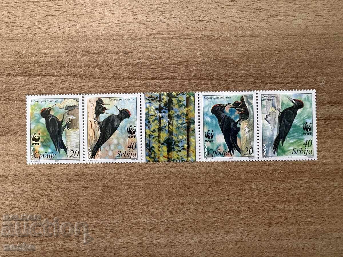 Сърбия - Черен кълвач (2007) MNH