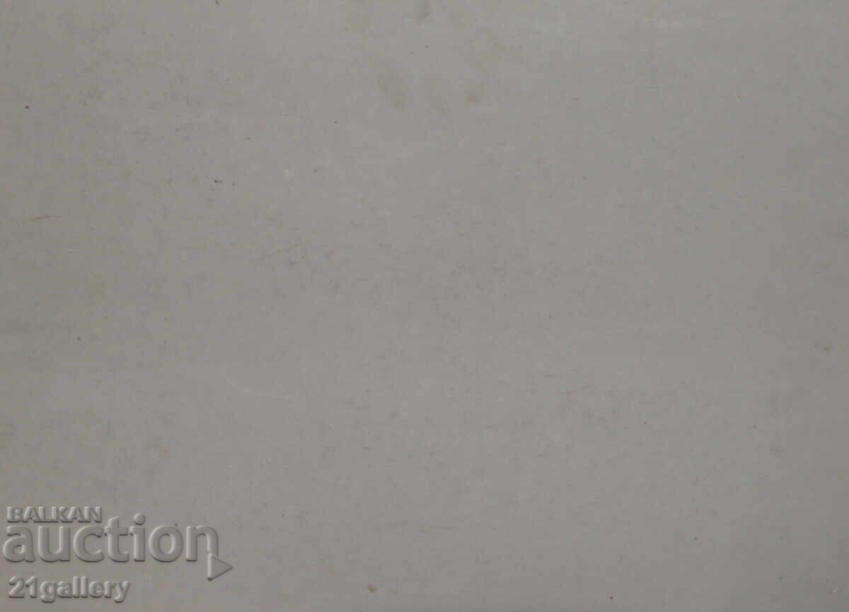 Petŭr Nenov, kartina temperni boi peĭzazh - 7