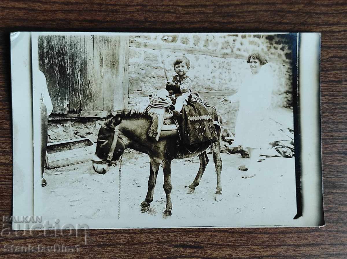 Fotografie veche Regatul Bulgariei -