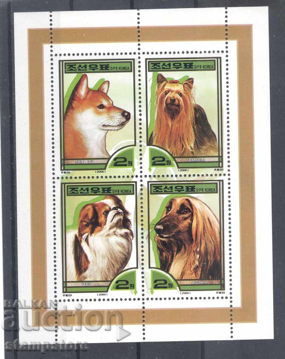 Βόρεια Κορέα - Σκύλοι
