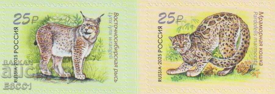 Καθαρές σφραγίδες Fauna Άγριες γάτες σε συνεργασία με το Λάος 2025 από τη Ρωσία