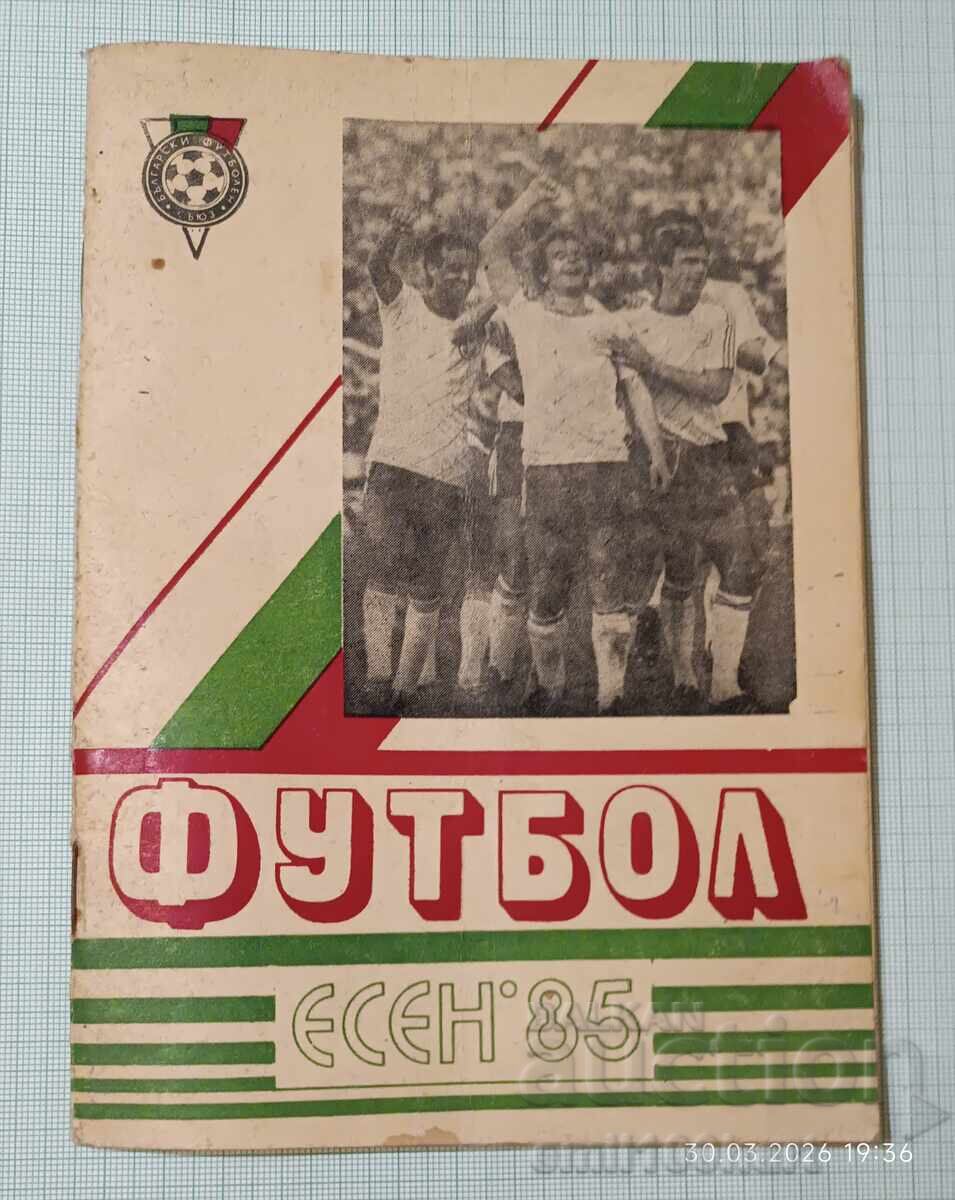 Program fotbal toamnă 85