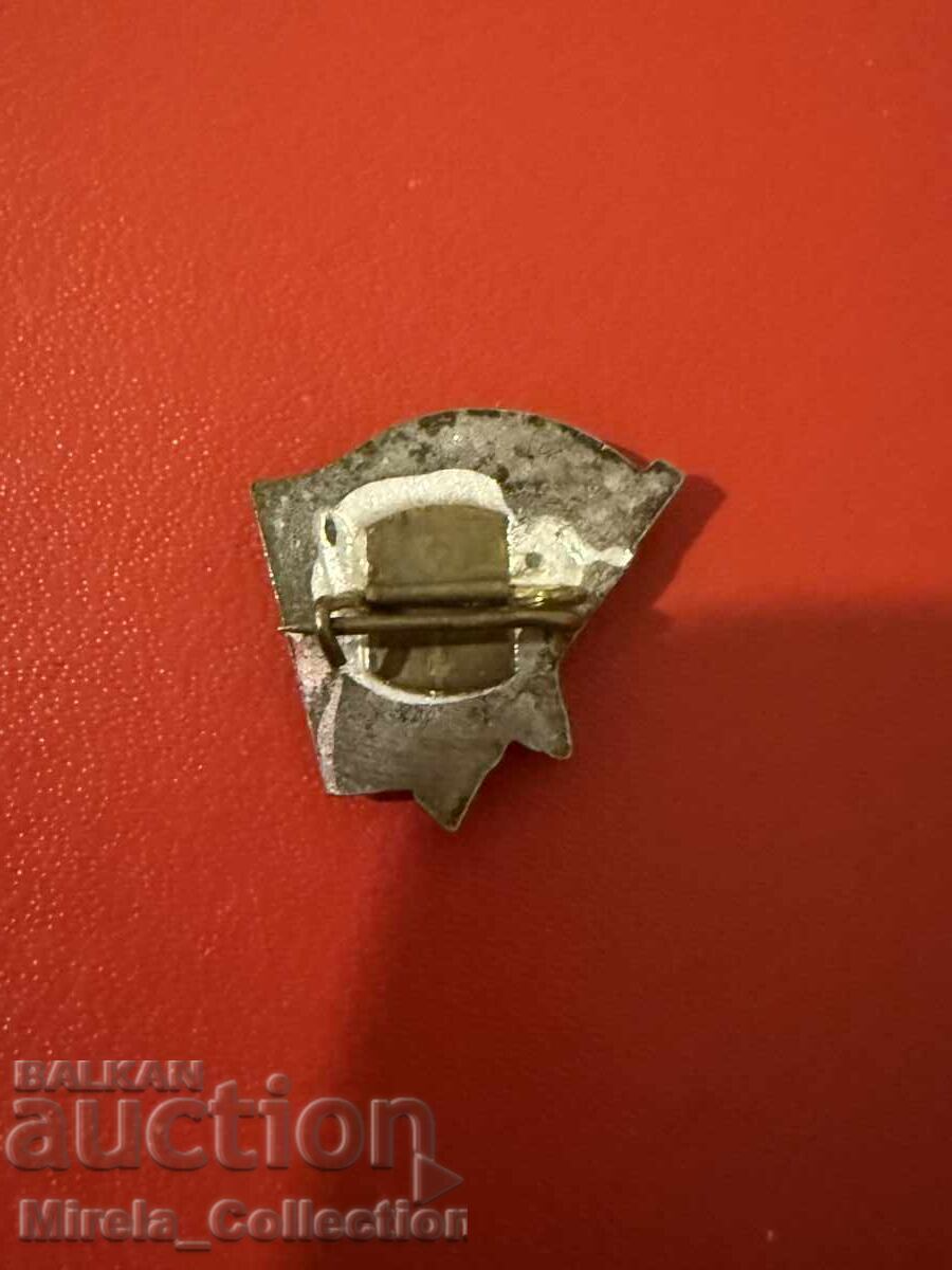 Znachka na aktivni bortsi protiv fashizma i kapitalizma με τιμή € 6.00 | 11.73 BGN