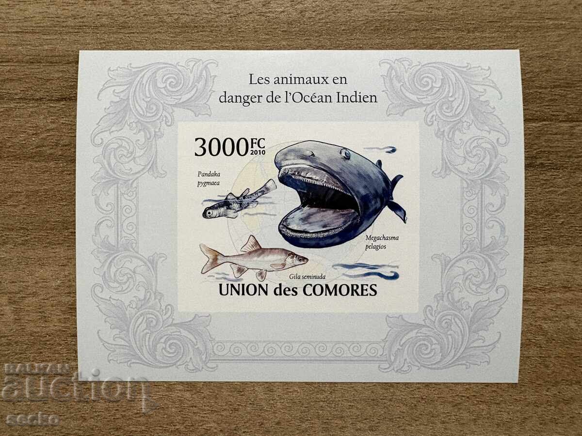 Κομόρες - Θαλάσσια ζωή - Απειλούμενα ζώα (2009) MNH