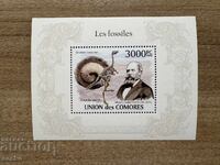 Коморски о-ви - Вкаменелости (2009) MNH