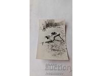 Снимка Младежи в борба по между си