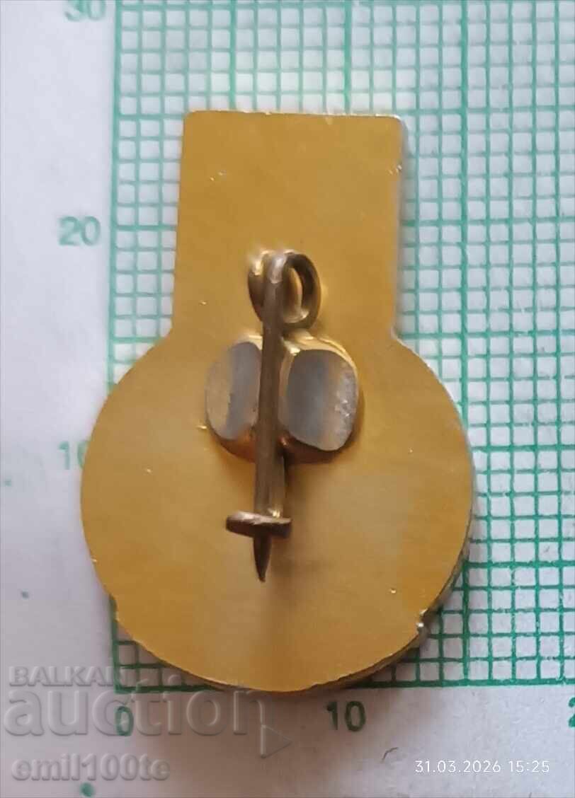 Доставка на Значка- АПК Девети септември Вятово