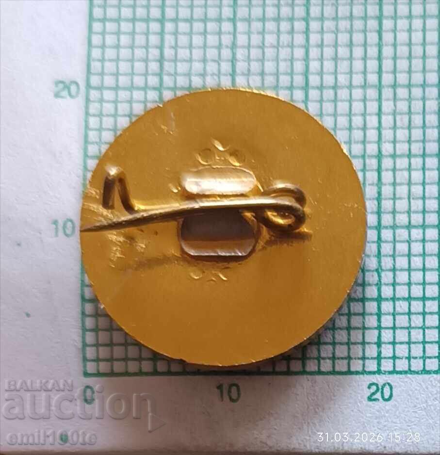 Delivery of Badge - Glass Factory Elena