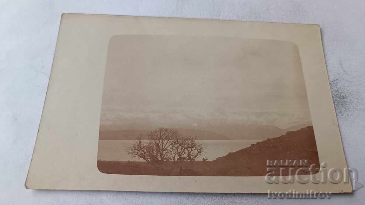 Snimka Zasnezheni vŭrkhove 1920