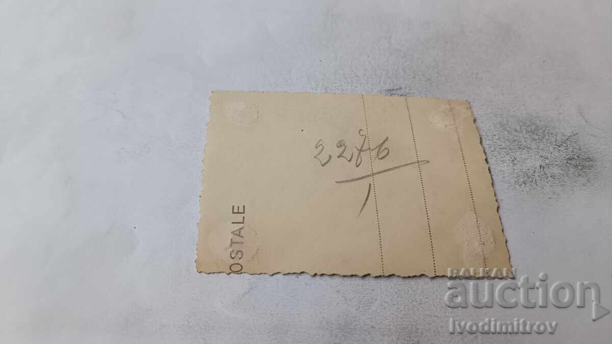 Foto Sofia Doi bărbați la plimbare cu preț € 0.88 | 1.72 BGN Foto Sofia Doi bărbați la plimbare cu preț € 0.88 | 1.72 BGN