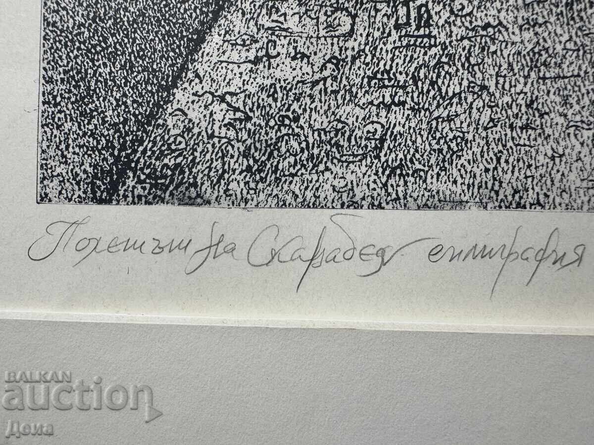 Livrarea Venelina Popova grafică 2011