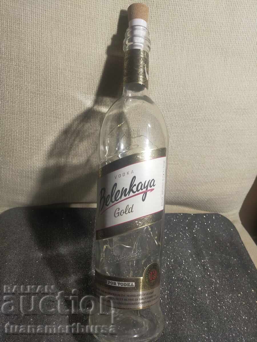 LED illuminated decorative bottle