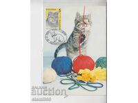 Пощенска карта МАХ FDC КОТКИ