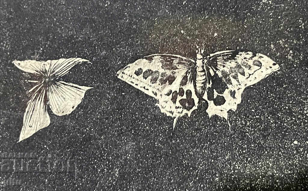 "Проблем VI" (см. техн.), Николай Атанасов (1955–2015), подп - 6 "Проблем VI" (см. техн.), Николай Атанасов (1955–2015), подп - 6