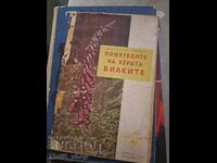 Herbs, the friends of people