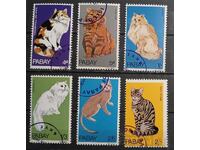 Σκωτία/Νησί Παμπάι 1969 Πανίδα/Γάτες