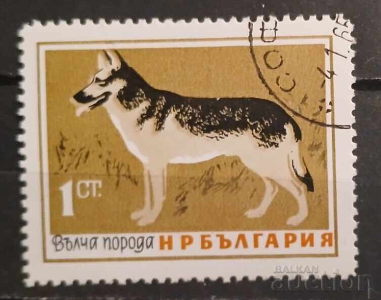 Bulgaria 1964 Faună Bulgaria 1964 Faună