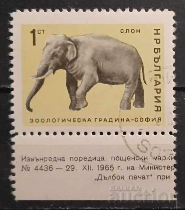 Bulgaria 1966 Faună