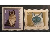 Bulgaria 1967 Faună/Pisici