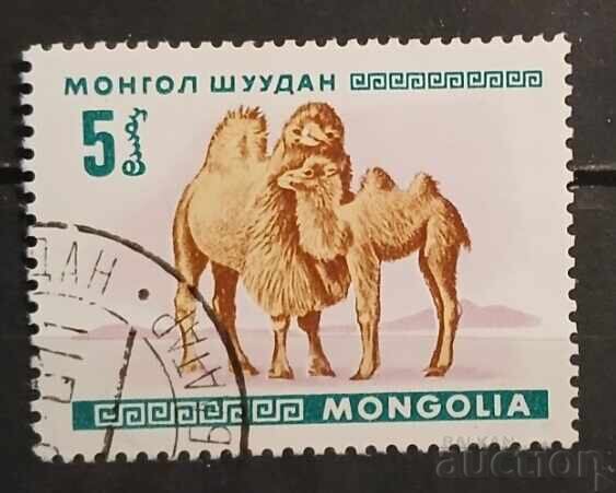 Mongolia 1968 Faună Mongolia 1968 Faună