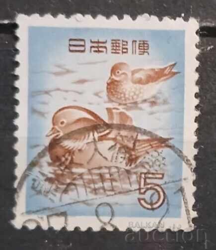 Japonia Faună/Păsări