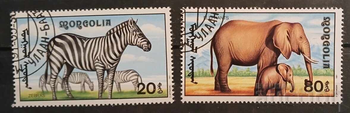 Mongolia Faună