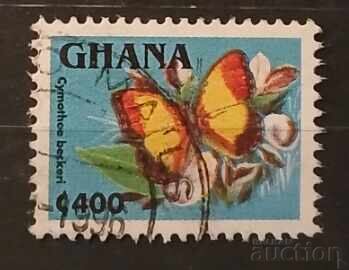 Ghana Fauna/Fluturi