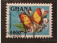 Ghana Fauna/Fluturi