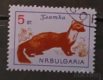 Bulgaria 1963 Faună
