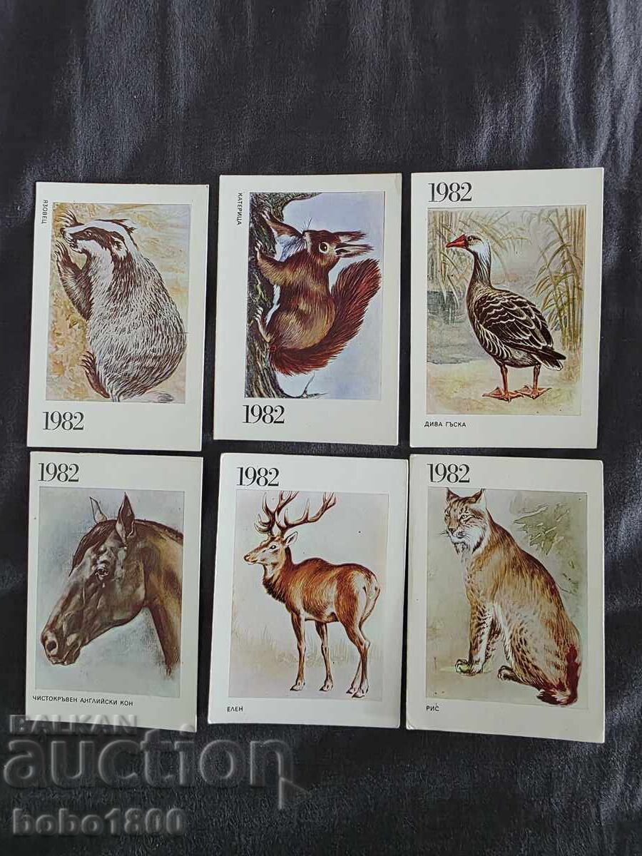 Lot calendare animale 6 bucăți