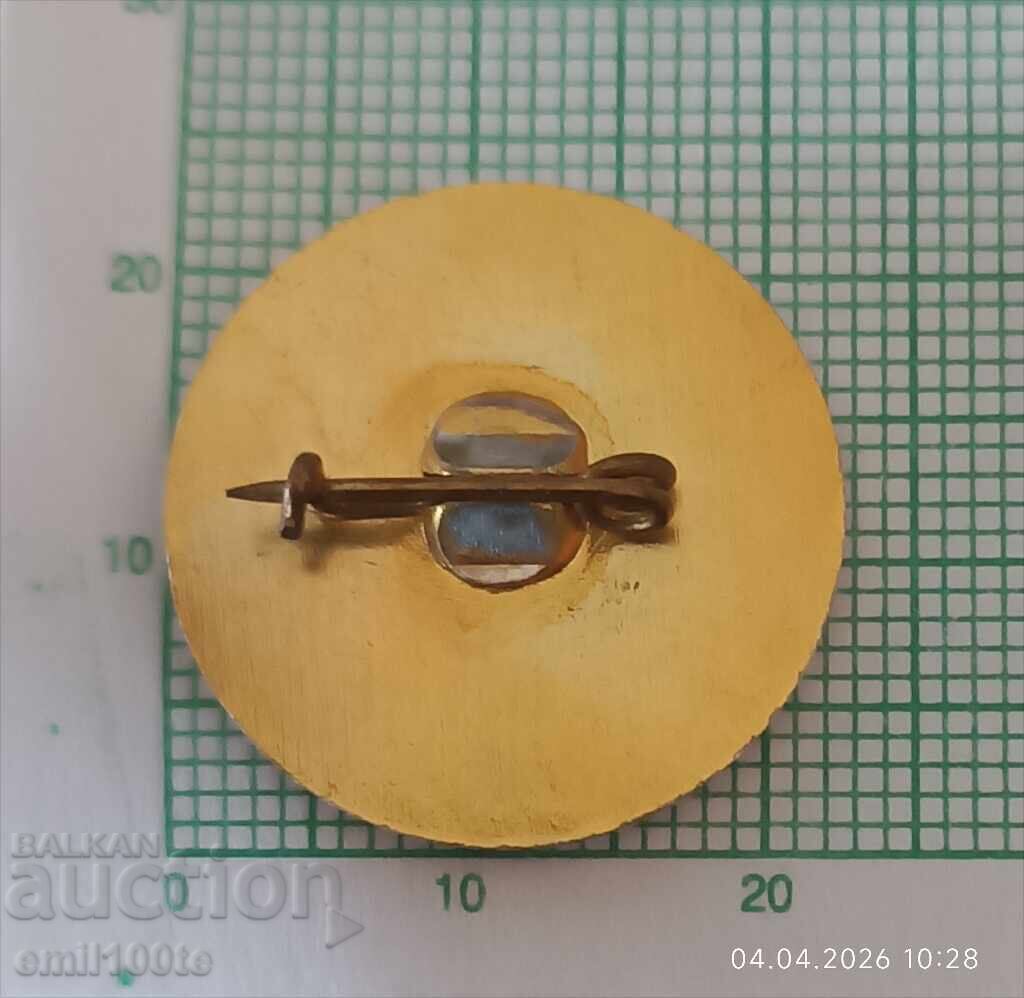 Insigna - Asociația de afaceri Transport rutier - 5 Insigna - Asociația de afaceri Transport rutier - 5