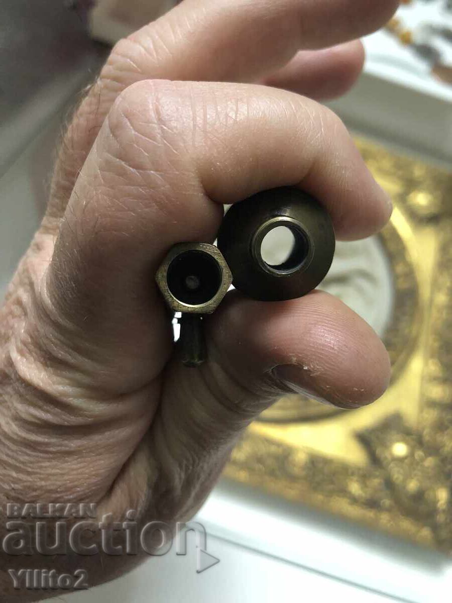 Livrarea Viespe gărnă (sau Viespe de stejar) Livrarea Viespe gărnă (sau Viespe de stejar)