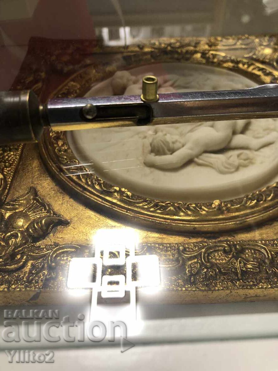 Viespe gărnă (sau Viespe de stejar) - 7 Viespe gărnă (sau Viespe de stejar) - 7