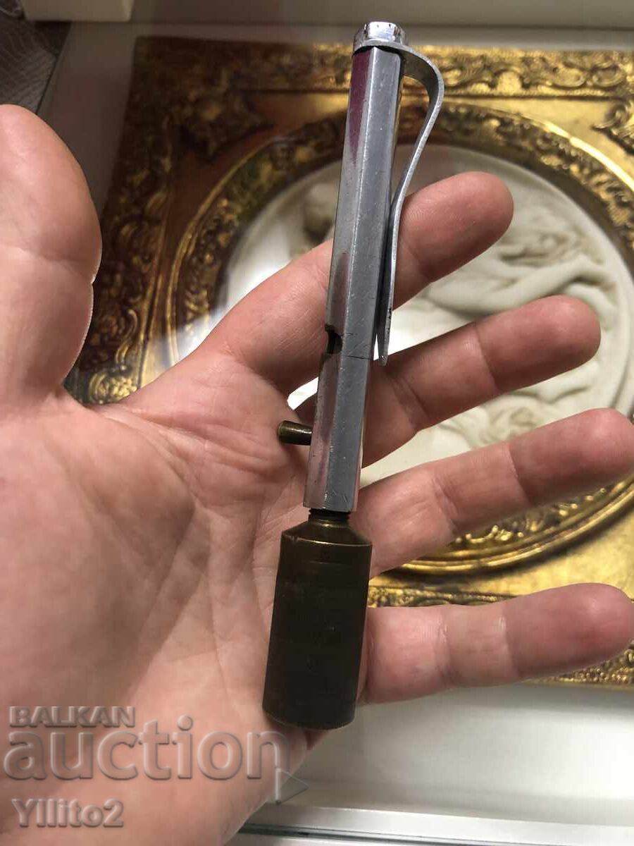 Viespe gărnă (sau Viespe de stejar) Viespe gărnă (sau Viespe de stejar)